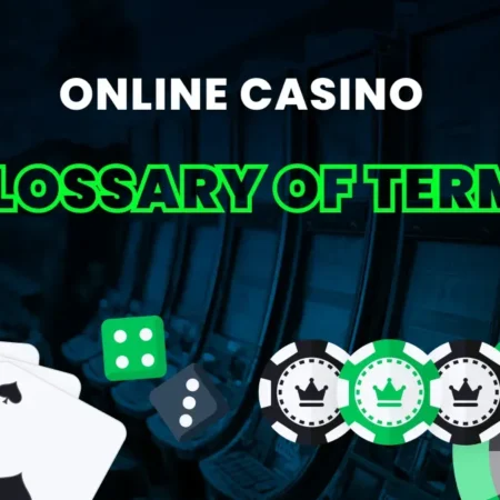 Casino Lingo 101: Master Essential Gambling Terms on Maya Casino